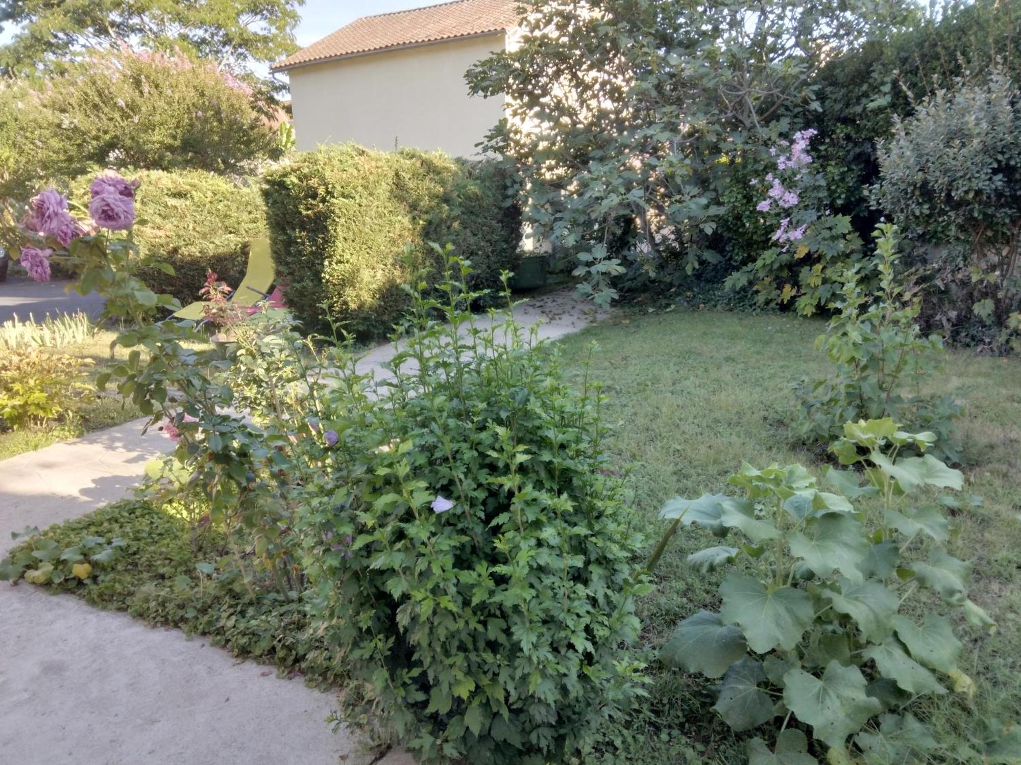 Chambre D'Hote Dans Maison Privee Périgueux Exteriör bild